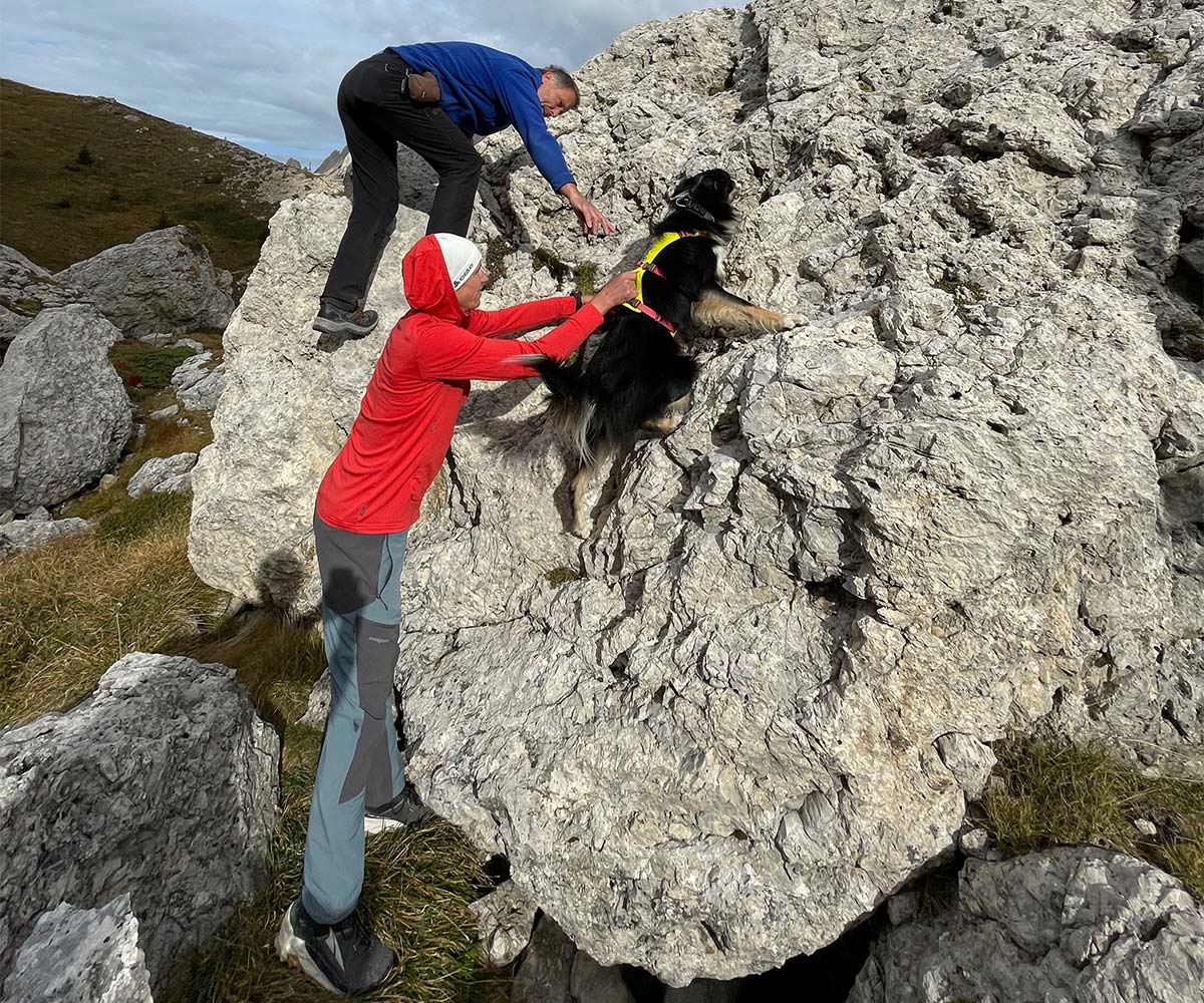 Bergtour mit Hund und Training am Felsen