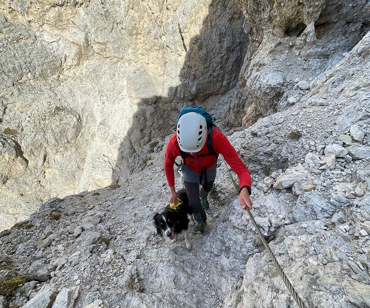 Bergtour mit Hund in den Dolomiten am Klettersteig