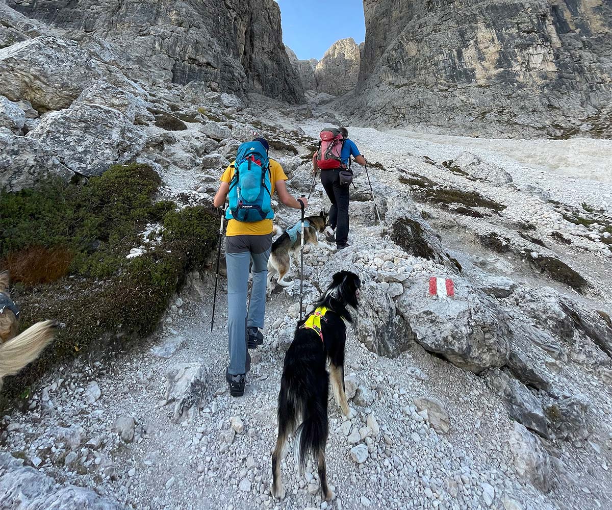 Bergtour und Aufstieg zur Großen Cir Spitze mit Hunden