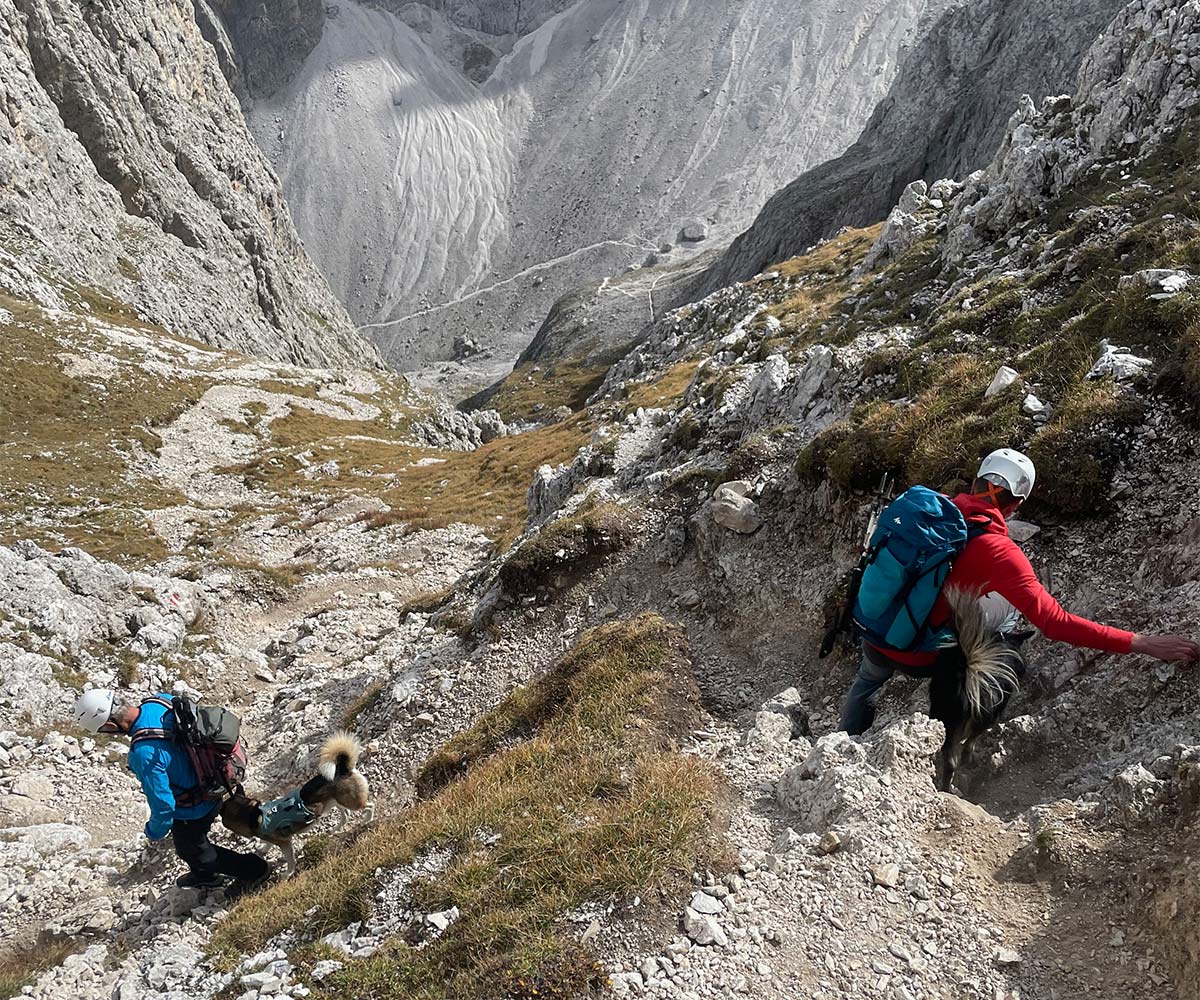 Abstieg mit Hund bei einer Bergtour in den Dolomiten