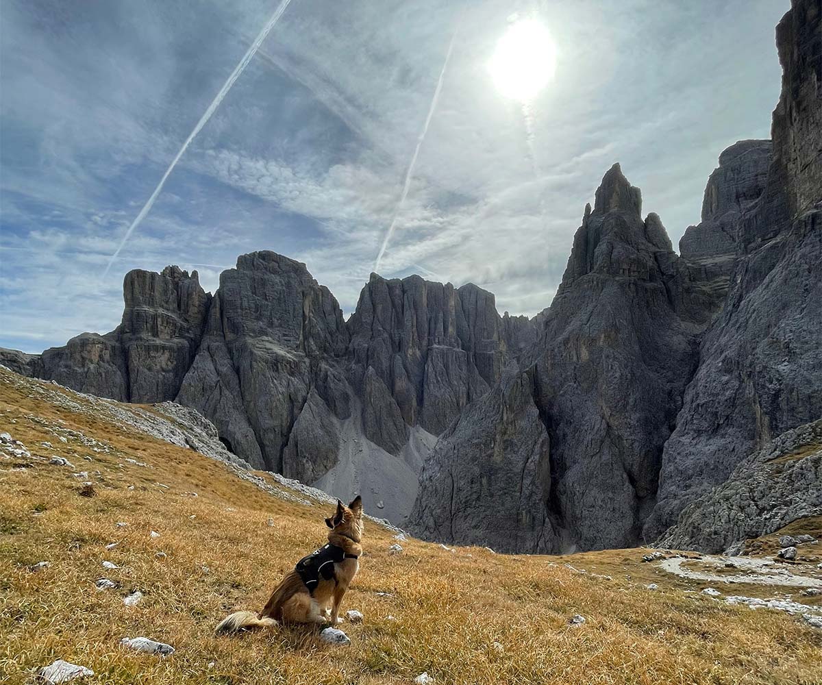 Luni nach der Bergtour mit Hund auf dem Val Setus mit Blick auf den Piz Pisciadu