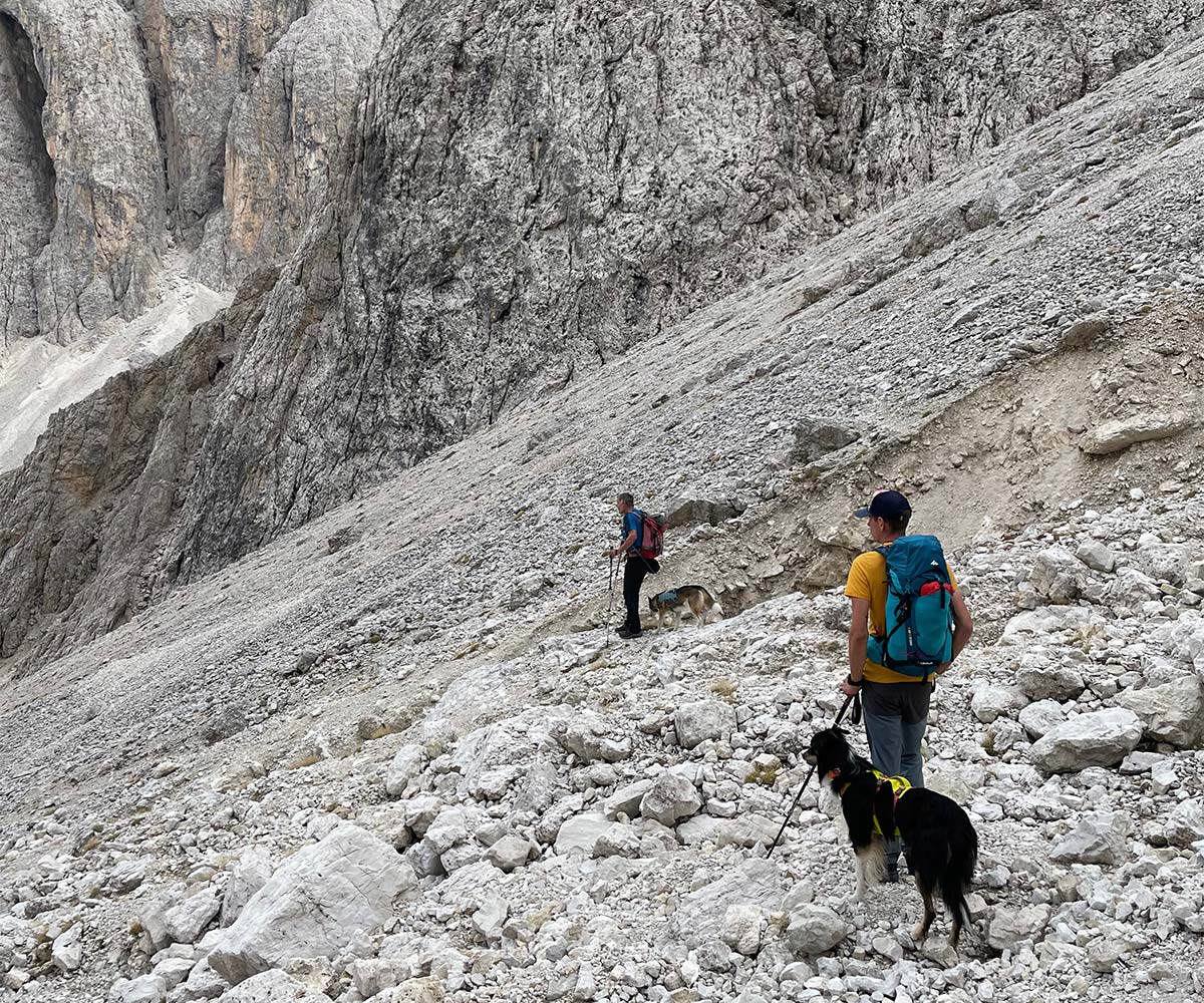 Konzentrierter Abstieg ins Mittagstal bei unserer Bergtour mit Hund in den Dolomiten