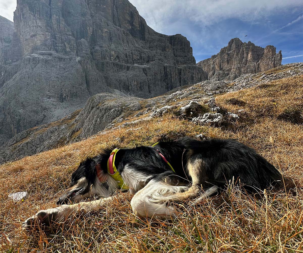 Ankunft und Ruhetag nach der Bergtour mit Hund in den Dolomiten