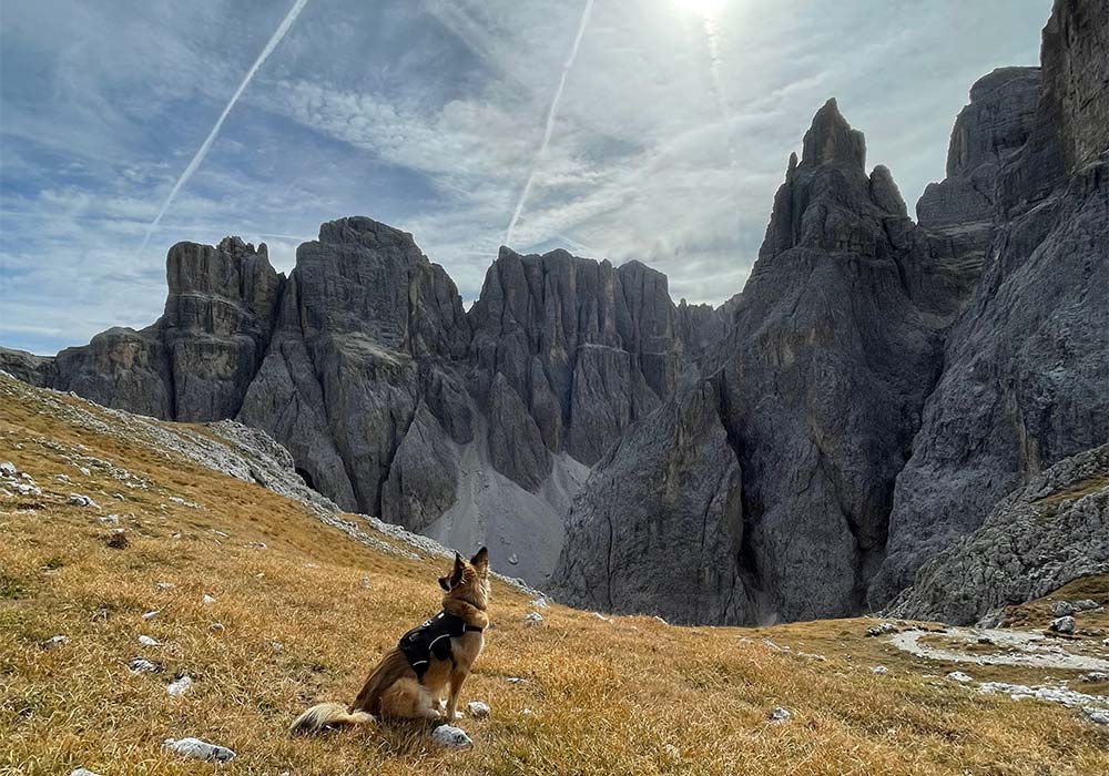 Dolomiten Bergtour mit Hund Val Setus und Pisciadu Hütte