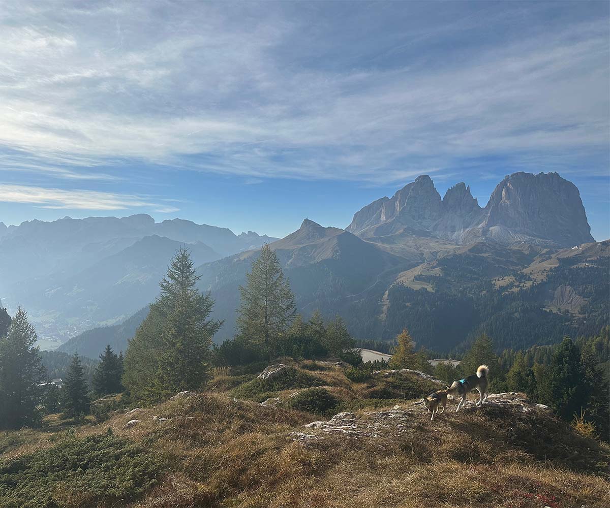 Bergtour mit den Hunden in den Dolomiten zum Piz Boe
