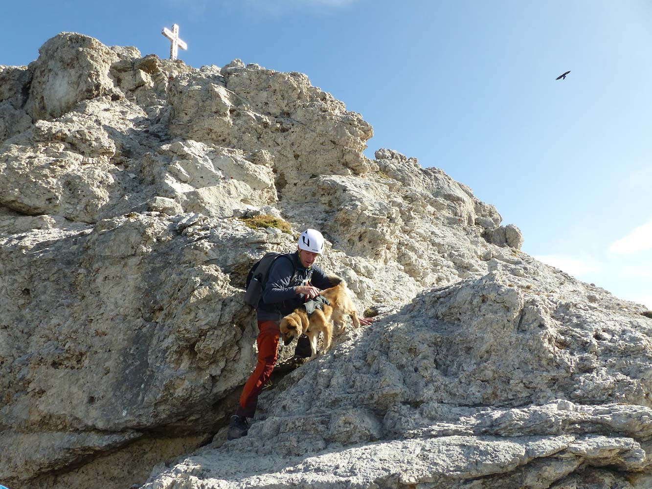 Christoph Bauer und seine Hündin Luni vom Team Simply Outside beim Bergsteigen mit Hund