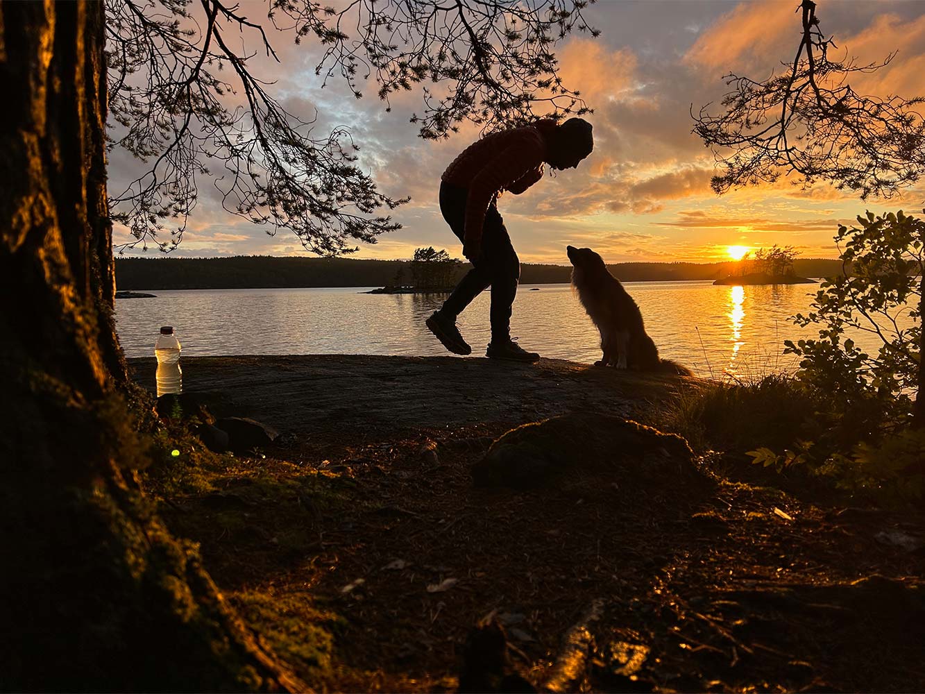 Matthias Bernlöhr und sein Hund Glenn vom Team Simply Outside beim Sonnenuntergang